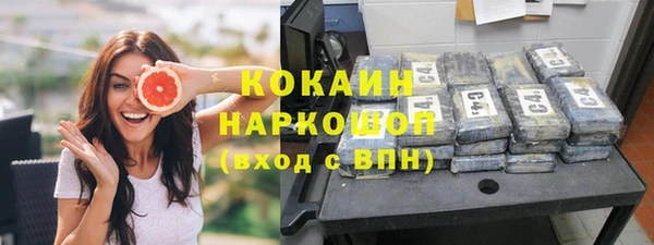 индика Михайловск