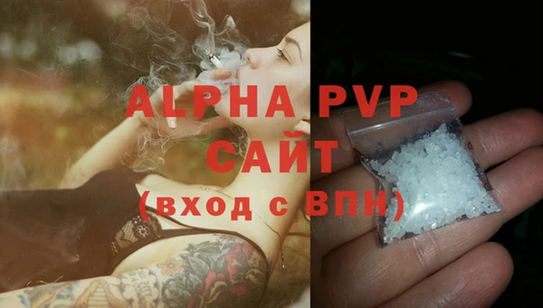 индика Михайловск