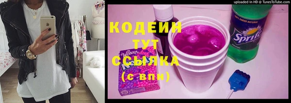 соль ск Пересвет