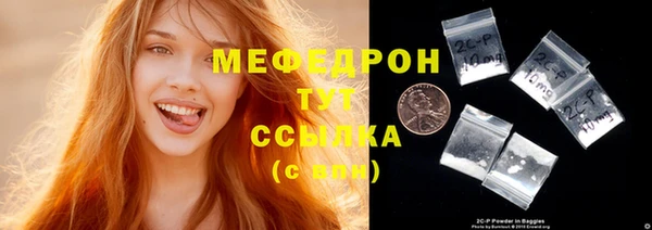 индика Михайловск