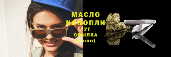 индика Михайловск