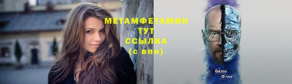 прущие грибы Михайлов