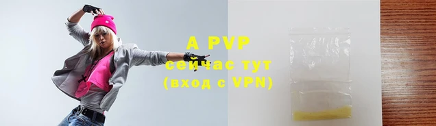 прущие грибы Михайлов