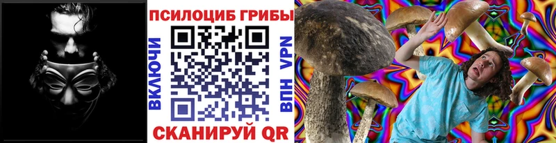 Псилоцибиновые грибы GOLDEN TEACHER mega вход Свирск купить закладку